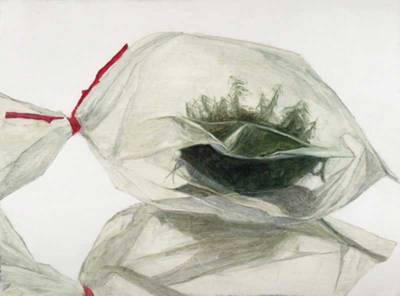 Moos im Plastiksack, 2010